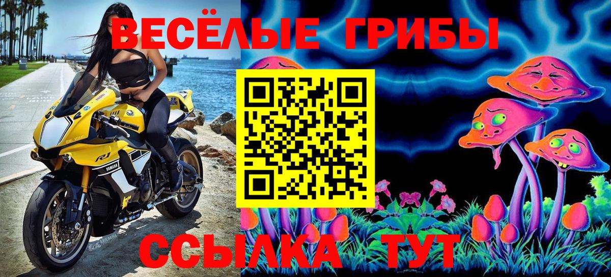 Галлюциногенные грибы GOLDEN TEACHER  Вход с VPN  купить наркотик  Копейск 